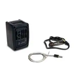 L.R.Baggs Stagepro Element