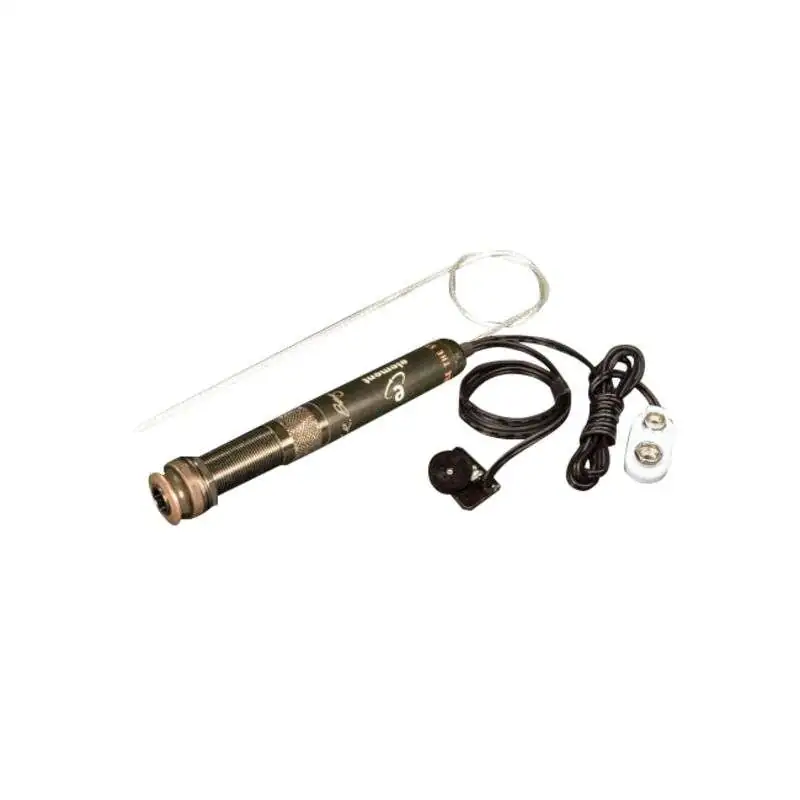 L.R.Baggs EAS Element Active systeem