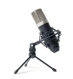 Marantz MPM-1000 Condenser microphone