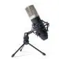 Marantz MPM-1000 Condenser microphone