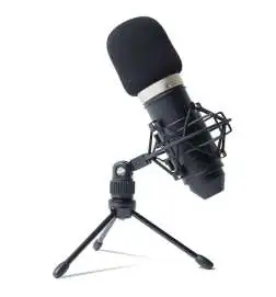 Marantz MPM-1000 Condenser microphone