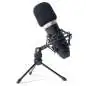 Marantz MPM-1000 Condenser microphone
