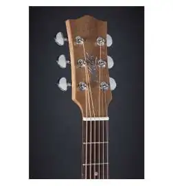 Maton SRS 808