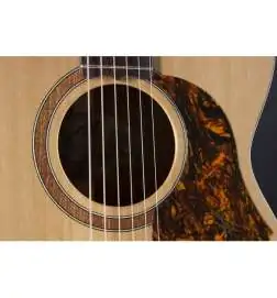 Maton SRS 808 incl. Case