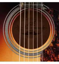 Maton EBG 808 TE Sunburst