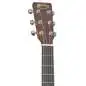 Martin Guitars D-13E Ziricote