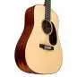 Martin Guitars DJR-E