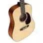 Martin Guitars DJR-E