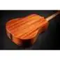 Martin Guitars DJR-E