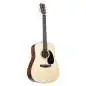 Martin Guitars D-12E