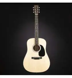 Martin Guitars D-12E