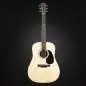 Martin Guitars D-12E