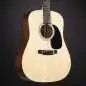 Martin Guitars D-12E