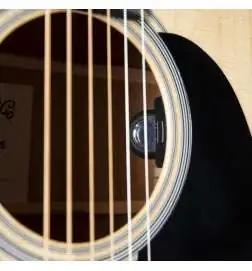Martin Guitars D-12E