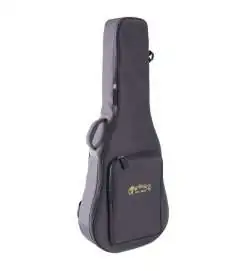 Martin Guitars D-12E