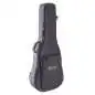 Martin Guitars D-12E