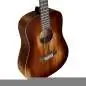 Martin Guitars DJR-E StreetMaster