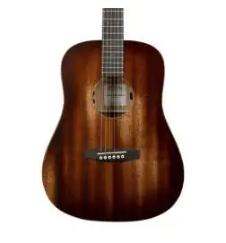 Martin Guitars DJR-E StreetMaster