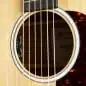 Martin Guitars GPC-11E