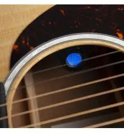 Martin Guitars GPC-11E