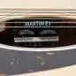 Martin Guitars D-10E Sitka Top Martin Guitars D-10E Sitka Top