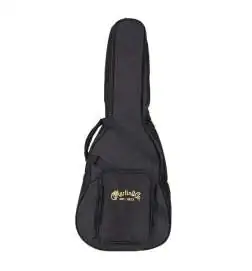 Martin Guitars D-10E Sitka Top