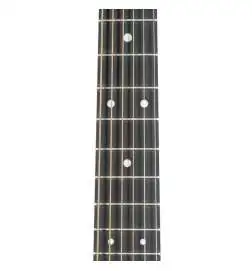 Martin Guitars D-10E Sapele Top