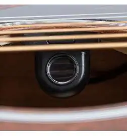 Martin Guitars D-10E Sapele Top