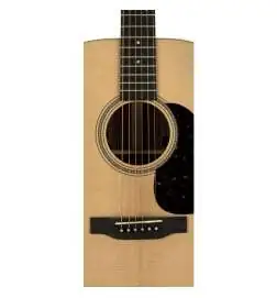 Martin Guitars D-16E-01