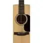 Martin Guitars D-16E-01 Martin Guitars D-16E-01