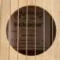 Martin Guitars Backpacker Steel