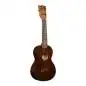 Martin Guitars Centennial Concert Uke