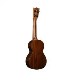 Martin Guitars Centennial Concert Uke