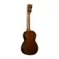 Martin Guitars Centennial Concert Uke
