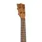 Martin Guitars Centennial Concert Uke