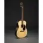 Martin Guitars 00-X2E-Cocobolo