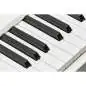 Mellotron M4000D Mini Synthesizer Mellotron M4000D Mini Synthesizer