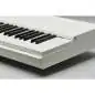 Mellotron M4000D Mini Synthesizer Mellotron M4000D Mini Synthesizer