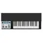 Mellotron M4000D Mini Black Synthesizer Mellotron M4000D Mini Black Synthesizer