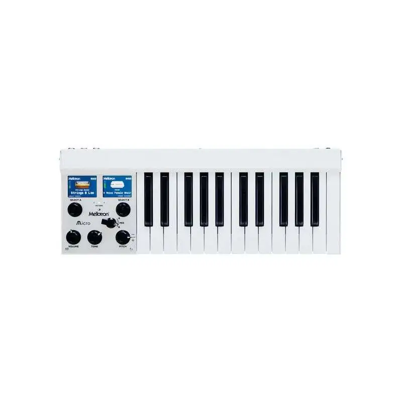 Mellotron Mellotron Micro Synth