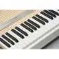 Mellotron M4000D Synthesizer Mellotron M4000D Synthesizer