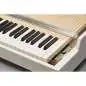 Mellotron M4000D Synthesizer Mellotron M4000D Synthesizer