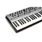Modal Electronics Carbon8 Synthesizer
