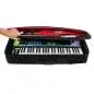Moog Matriarch Case SR Series