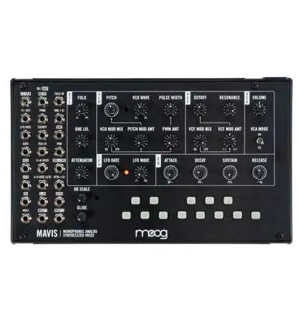 Moog Mavis Synth