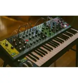 Moog Matriarch