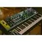 Moog Matriarch