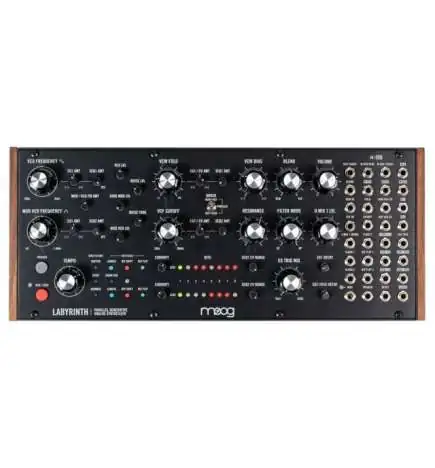 Moog Labyrinth Synth