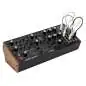 Moog Labyrinth Synthesizer