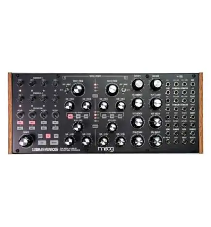Moog Subharmonicon Synthesizer
